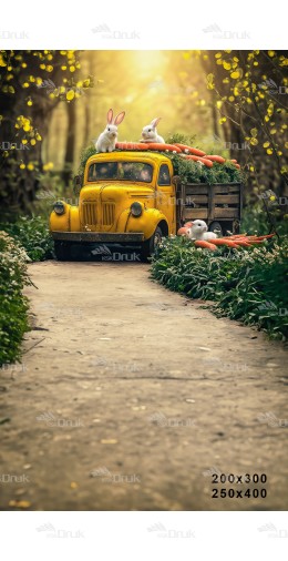 Tło fotograficzne Wiosna E394